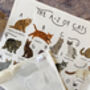 A Z Of Cats Tea Towel, thumbnail 4 of 5