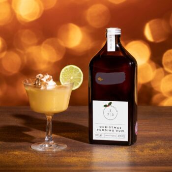 Christmas Pudding Rum From Project #173 42% Abv 50ml, 2 of 2