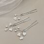 White Floral Bridal Hair Pins Set Of Three, thumbnail 8 of 12
