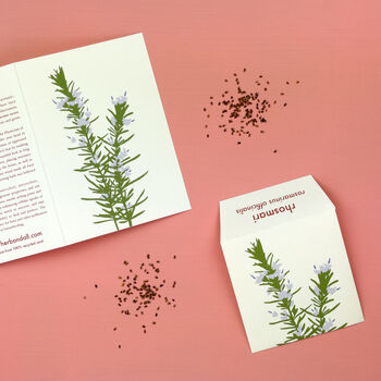 Ysbwynwydd Welsh Herbs Rosemary Card With Seeds, 2 of 7