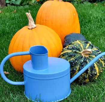 Greenhouse Indoor Watering Can, 2 of 6