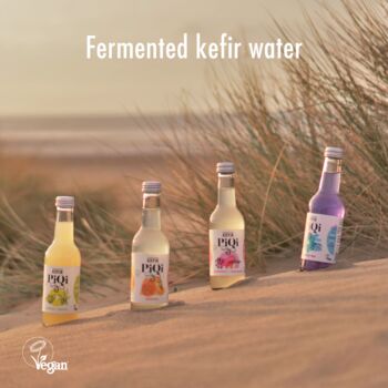 Fermented Water Kefir Discovery Case 10 X 250ml, 4 of 4