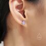 Sterling Silver 6mm Moonstone Stud Earrings, thumbnail 7 of 12