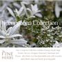 Evergreen Herb Collection, thumbnail 3 of 12