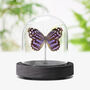 Mexican Bluewing Butterfly Moth Insect Bug Taxidermy Bell Jar, thumbnail 1 of 3