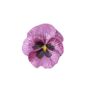 Pansy Pink Flower Brooch, thumbnail 5 of 5