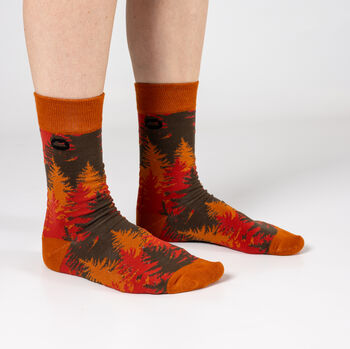 Bamboo Socks | Autumn Socks | Landscape Socks | Forest Socks | Novelty Socks, 4 of 5