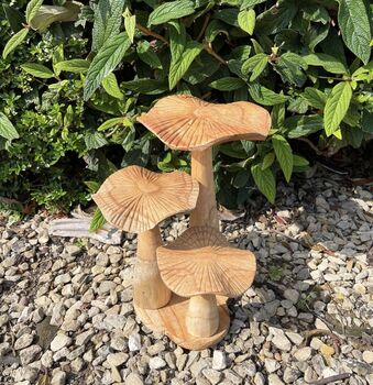 Set Of Three Wooden Mushrooms On A Base, 3 of 3