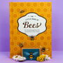 The Little Book Of Bees And Bee Wildflower Seedball Box, thumbnail 1 of 11