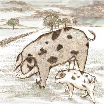 'Pigs' Print, 3 of 3