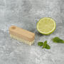 Sustainable Wood Small Nail Brush With Plant Bristles, thumbnail 3 of 8