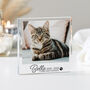 Pet Memorial Plaque, Dog Loss Gift, Cat Memorial Photo, thumbnail 2 of 4