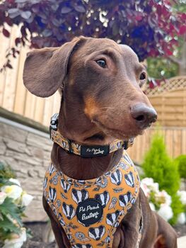 Woodland Badger Dog Harness, 6 of 12