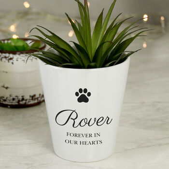 Personalised Paw Print Plant Pot, 3 of 3