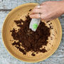 Make Your Own Seed Bombs Cornfield Wildflower Seed Mix, thumbnail 5 of 9