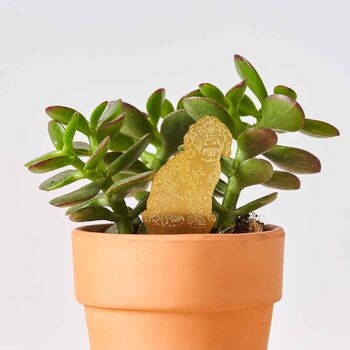 Cockapoo Dog Plant Animal Decoration, Gifts For Pet Lovers, 2 of 3