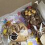 Cadbury Lover Stuffed Cookies And Brownies Box, thumbnail 3 of 3