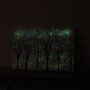Trees In Starlight Canvas, thumbnail 5 of 5