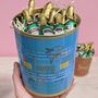 Fish And Champagne Chocolates In Retro Tins, thumbnail 3 of 5