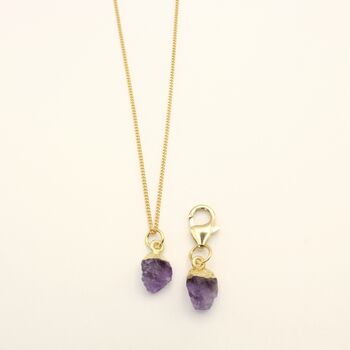 Amethyst Owner Necklace And Pet Collar Charm Set, 2 of 7