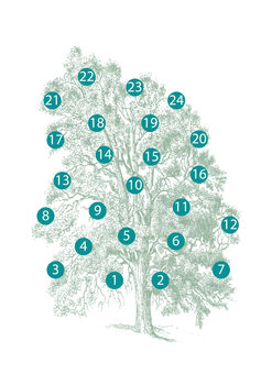 Vintage Style Personalised Family Tree, 2 of 9