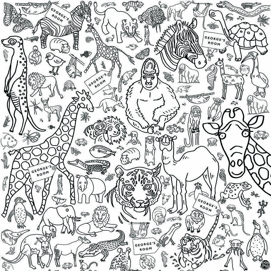 personalised colour in wallpaper amazing animals by eggnogg ltd ...