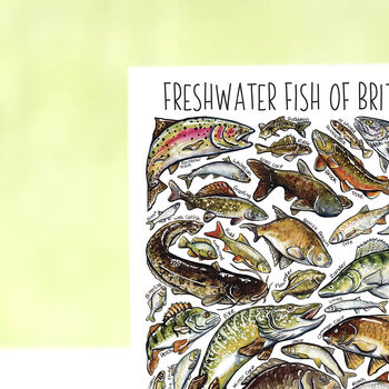 Freshwater Fish Of Britain Greeting Card, 2 of 7