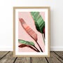 Pink And Green Banana Leaf Art Print, thumbnail 6 of 8