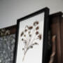 Original Pressed Flower Frame – A3 Echo Bloom Botanical Wall Art, thumbnail 2 of 7