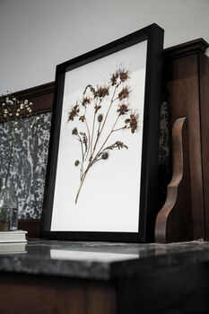 Original Pressed Flower Frame – A3 Echo Bloom Botanical Wall Art, 2 of 7