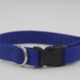 Bright Blue Dog Collar, thumbnail 10 of 12