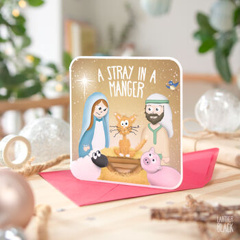 Stray Funny Christmas Card Pun Cat Nativity Manger Joke, 4 of 4