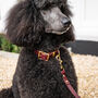 Personalised Padded Luxury Leather Dog Collar, thumbnail 2 of 12