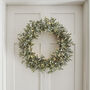 62cm LED Battery Artificial Mistletoe Christmas Wreath, thumbnail 1 of 4
