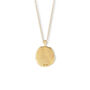 Aquarius Zodiac Coin Pendant Necklace, thumbnail 3 of 5