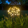 Solar Dandelion Stake Light, thumbnail 4 of 12