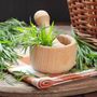 Herbs, Russian Tarragon, Full Plants In 9cm Pots, thumbnail 2 of 5