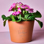 Bespoke Terracotta Plant Pot, thumbnail 1 of 3