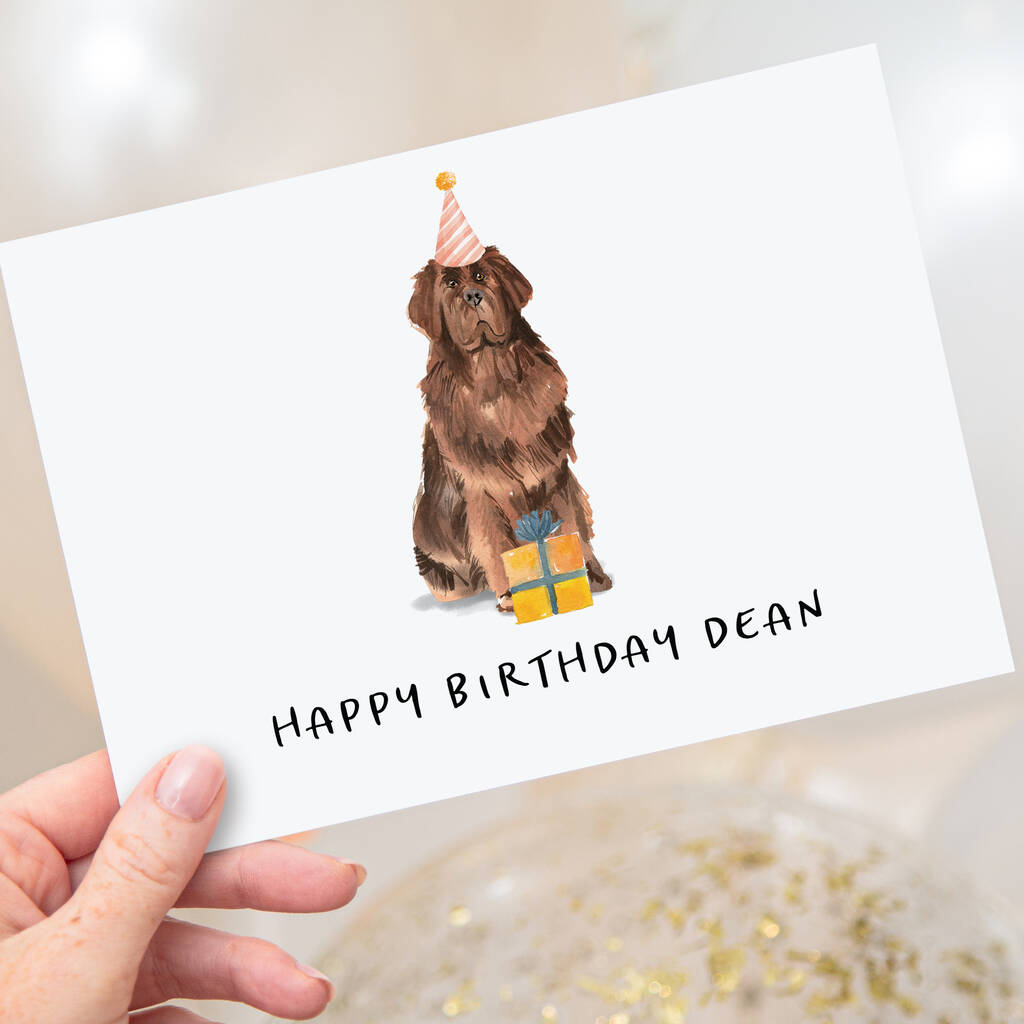 Newfoundland Dog Birthday Card By Mitzi Prints