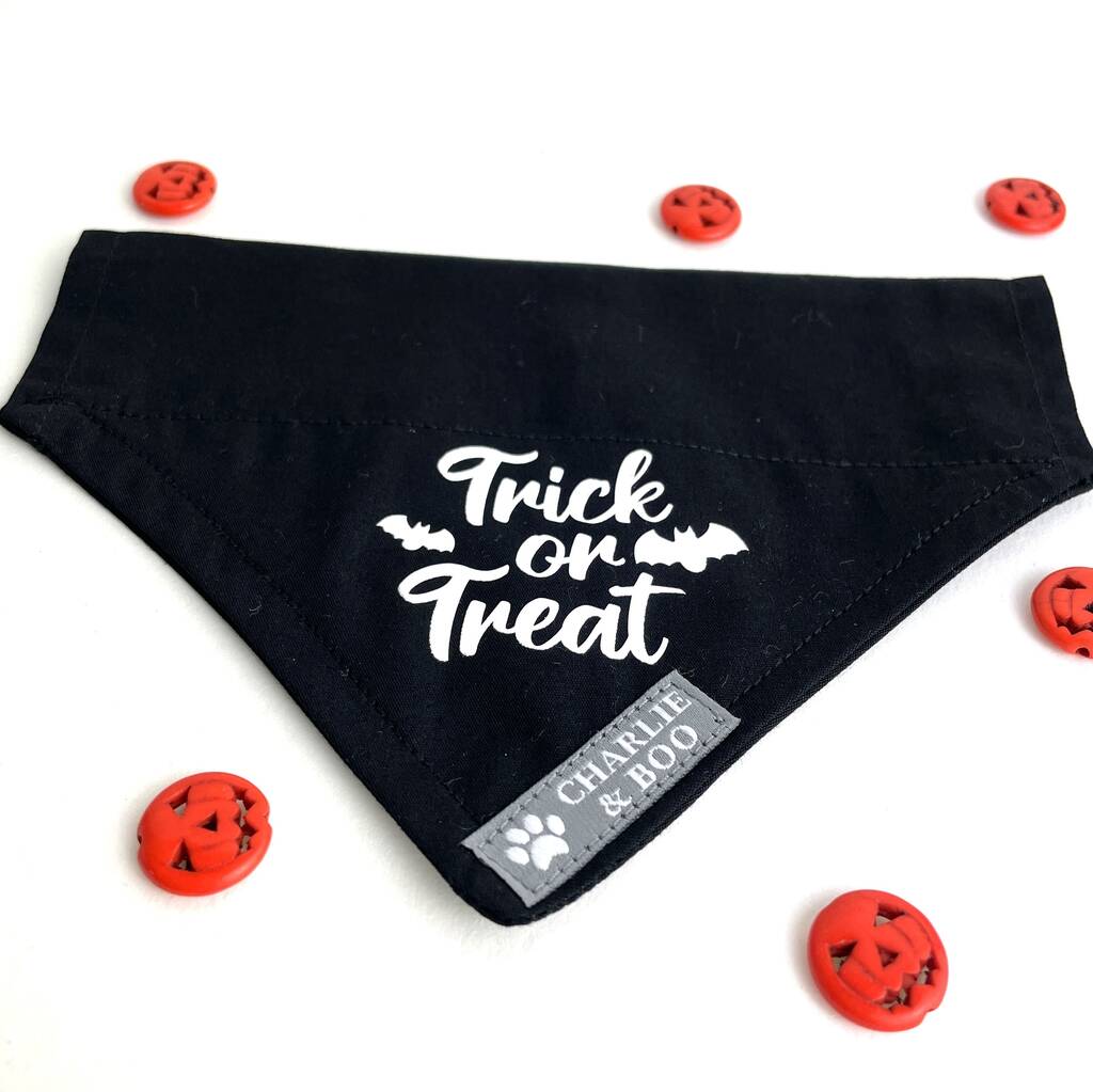 Trick Or Treat Halloween Dog Bandana By Charlie and Boo