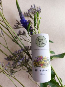 Wildflower Seeds In A Seedtube, 2 of 6