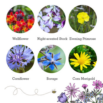 Wildflowers For Birds, Beetles And Bats, 8 of 10