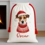 Personalised Jack Russell Santa Sack, thumbnail 1 of 3