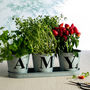 Three Personalised Planters In A Tray, thumbnail 2 of 5