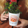 Earth Rainbow Plant Pot With Seeds, thumbnail 2 of 3