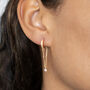 Sterling Silver Or Gold Long Chain Diamante Earrings, thumbnail 8 of 11