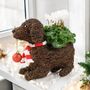 Dog Planter With Christmas Cyclamen And Bauble, thumbnail 1 of 3