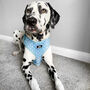 Dog Harness | Blue Polka Dot, thumbnail 4 of 8