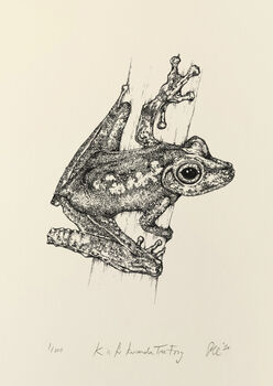 K Is For Kuranda Tree Frog Illustration Print, 4 of 6