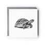 Hand Drawn Tortoise Illustration Greeting Card, thumbnail 2 of 6